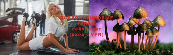 Альфа ПВП Вяземский