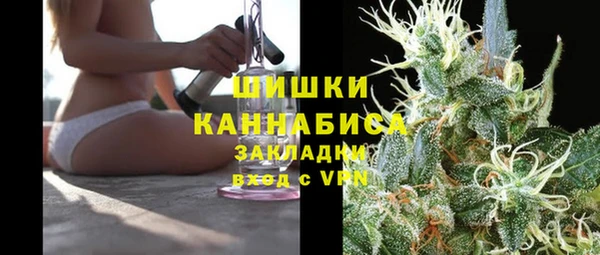 сатива Вязьма