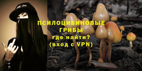 сатива Вязьма