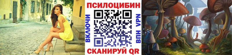 blacksprut зеркало  Самара  площадка официальный сайт  Галлюциногенные грибы Psilocybine cubensis 